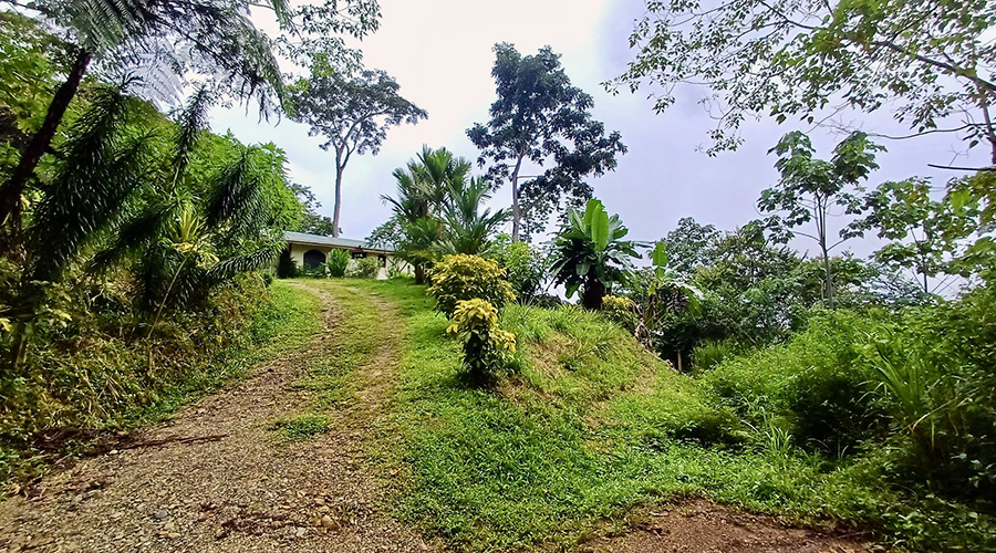 Costa Rica - Osa - Puerto Corts - Maison Oasis - Extrieur 6