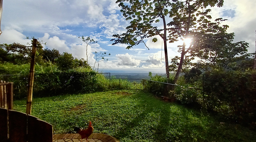 Costa Rica - Osa - Puerto Corts - Maison Oasis - Panorama - vue 3