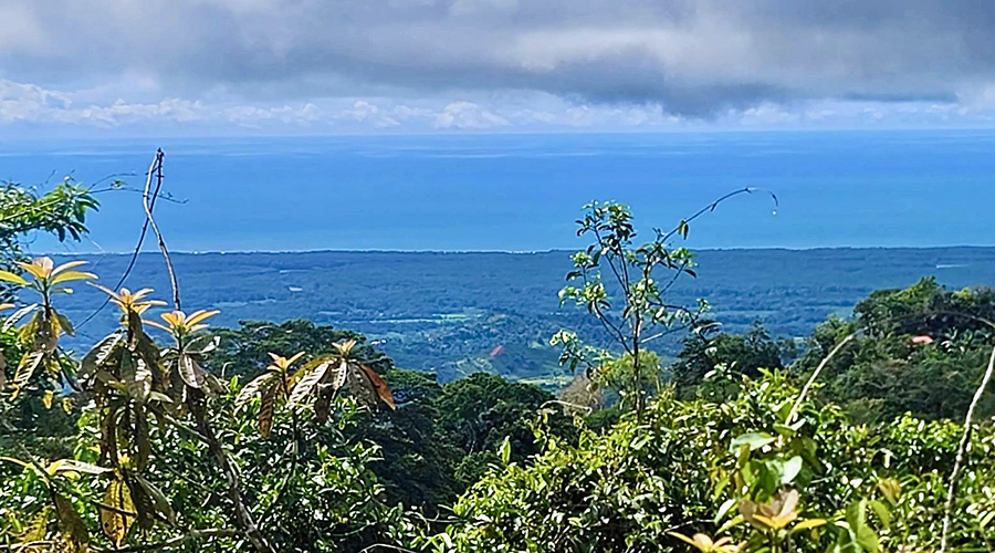 Costa Rica - Osa - Puerto Corts - Maison Oasis - Panorama - vue 4