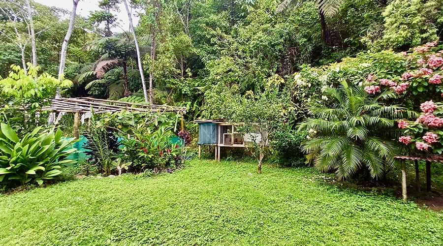 Costa Rica - Osa - Puerto Corts - Maison Oasis - Jardin - vue 2