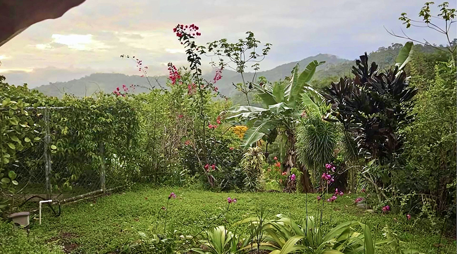 Costa Rica - Osa - Puerto Corts - Maison Oasis - Jardin - vue 3