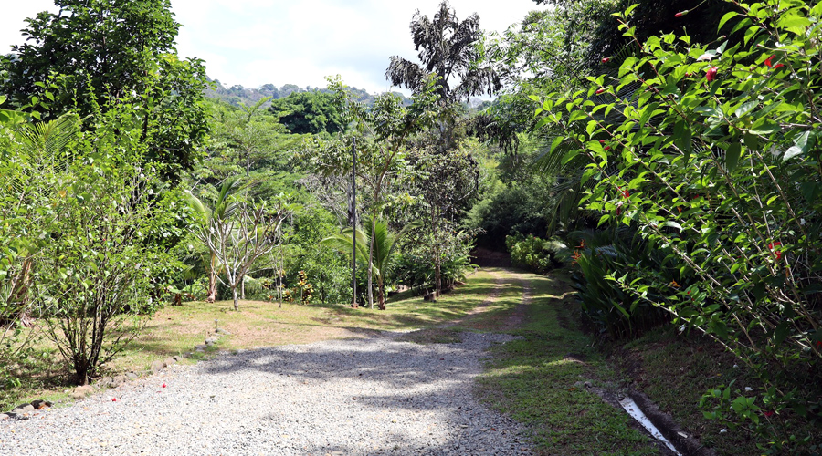 Costa Rica, Province de Puntarenas, Platanillo 1 + 1 - Maison + cabina + piscine, Alle 1