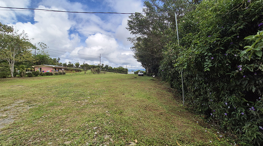 Costa Rica - Coto Brus - San Vito - Casa Bonita - Jardin - vue 1