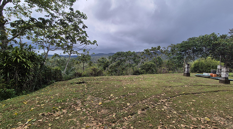 Costa Rica - Coto Brus - San Vito - Casa Bonita - Jardin - vue 2