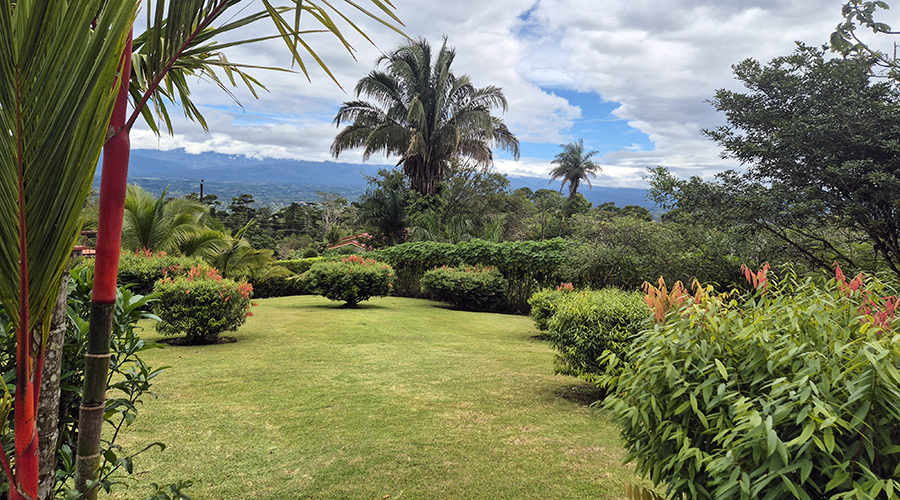 Costa Rica - San Vito de Coto Brus - Casa Orotina - Jardin - vue 1