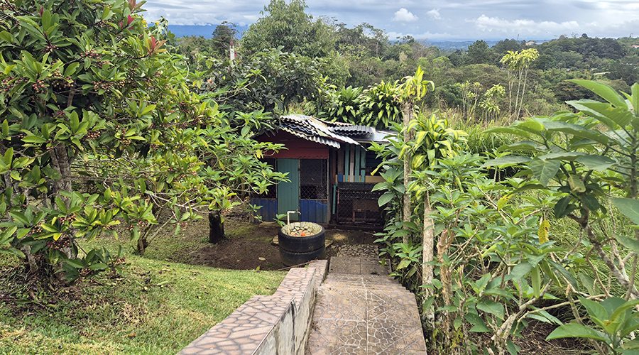 Costa Rica - San Vito de Coto Brus - Casa Orotina - Potager