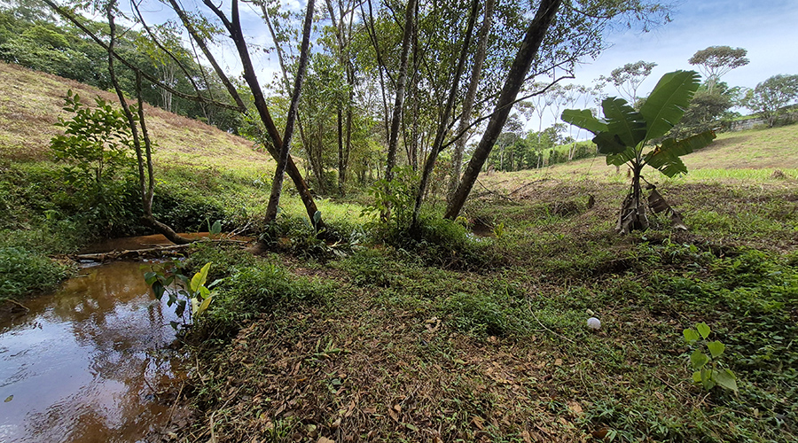 Costa Rica - San Isidro de El General - Finca Pilar de Cajon - Le ruisseau - vue 2