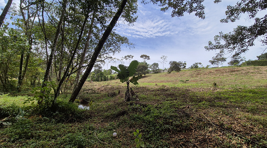 Costa Rica - San Isidro de El General - Finca Pilar de Cajon - Le ruisseau - vue 3