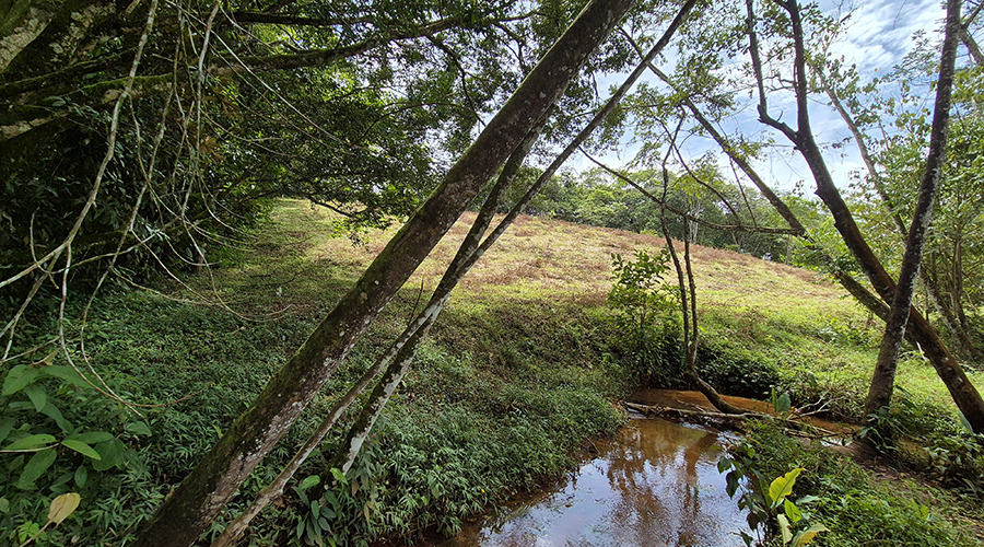 Costa Rica - San Isidro de El General - Finca Pilar de Cajon - Le ruisseau - vue 4