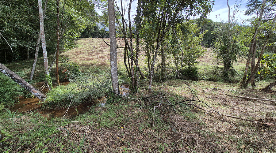 Costa Rica - San Isidro de El General - Finca Pilar de Cajon - Le ruisseau - vue 6