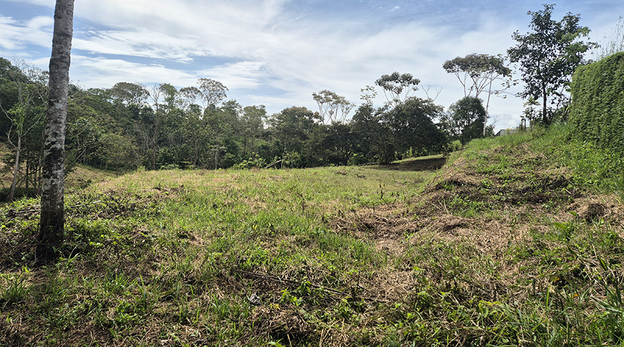 Costa Rica - San Isidro de El General - Finca Pilar de Cajon - La proprit - vue 1