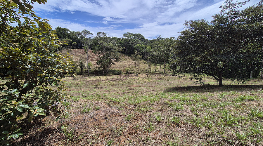 Costa Rica - San Isidro de El General - Finca Pilar de Cajon - La proprit - vue 10