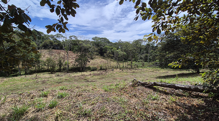 Costa Rica - San Isidro de El General - Finca Pilar de Cajon - La proprit - vue 11