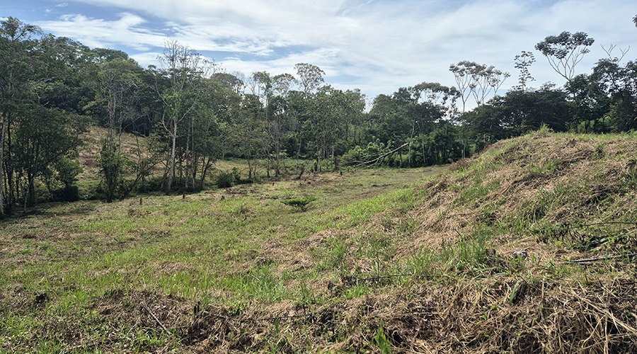 Costa Rica - San Isidro de El General - Finca Pilar de Cajon - La proprit - vue 3