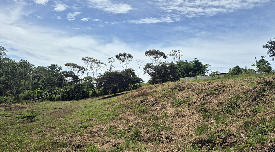 Costa Rica - San Isidro de El General - Finca Pilar de Cajon - La proprit - vue 4