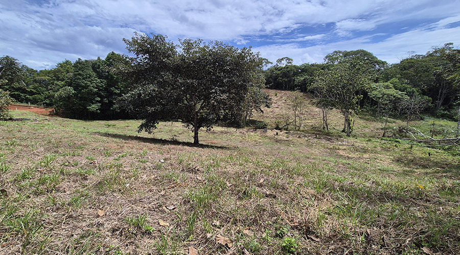 Costa Rica - San Isidro de El General - Finca Pilar de Cajon - La proprit - vue 7