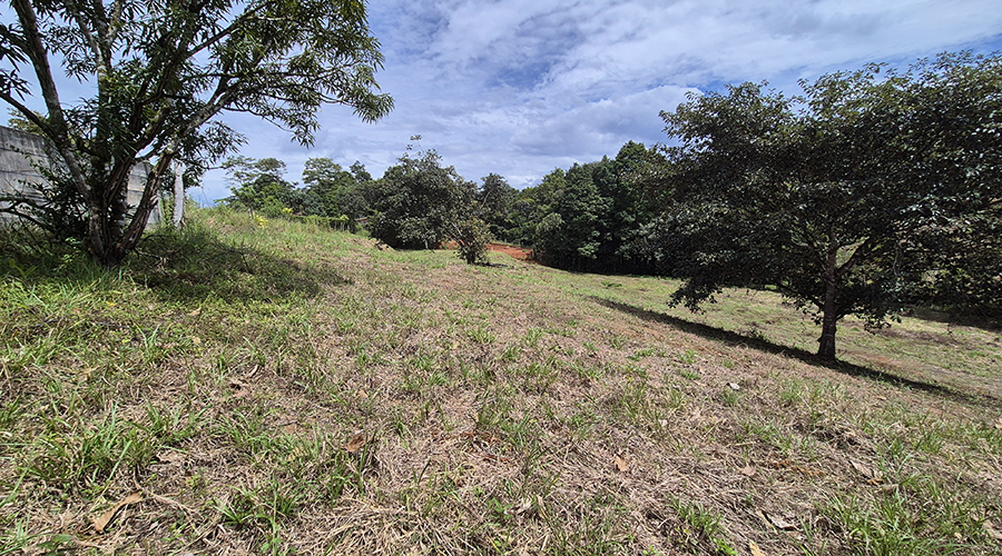 Costa Rica - San Isidro de El General - Finca Pilar de Cajon - La proprit - vue 8
