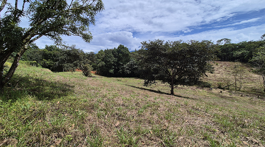 Costa Rica - San Isidro de El General - Finca Pilar de Cajon - La proprit - vue 9