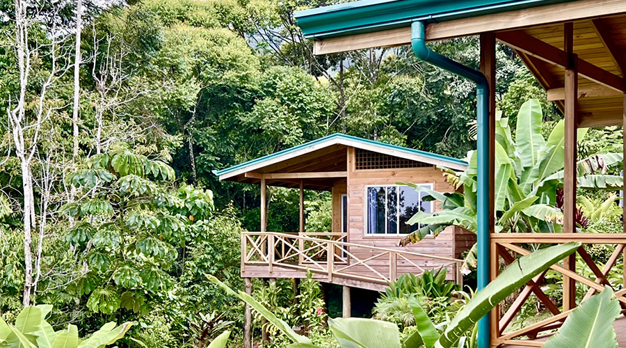 Costa Rica - Perez Zeledon - San Isidro - Terrazas de Morete - Cabina 2 - Extrieur - vue 1