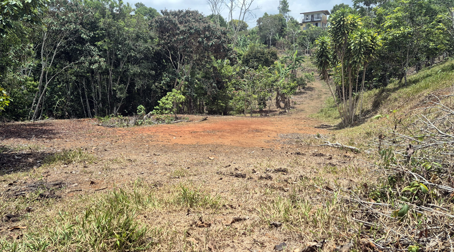 Costa Rica, Pacuarito, San Isidro, Finca Casita et Rivi�re - Maison et terrassement 1