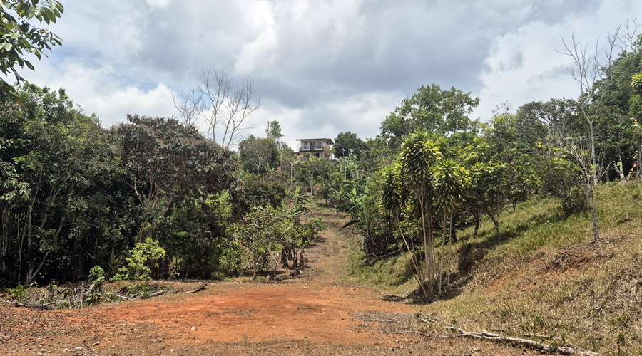 Costa Rica, Pacuarito, San Isidro, Finca Casita et Rivi�re - Maison et terrassement 2