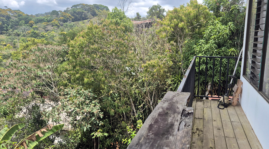 Costa Rica, Pacuarito, San Isidro, Finca Casita et Rivi�re - Vue 2