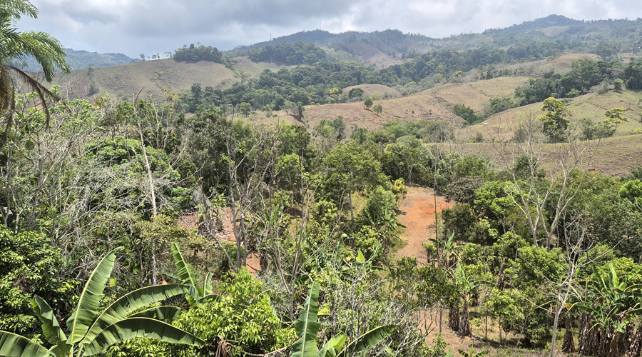 Costa Rica, Pacuarito, San Isidro, Finca Casita et Rivi�re - Vue 3