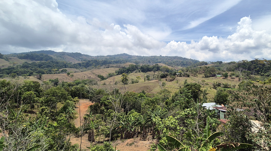 Costa Rica, Pacuarito, San Isidro, Finca Casita et Rivi�re - Vue 4