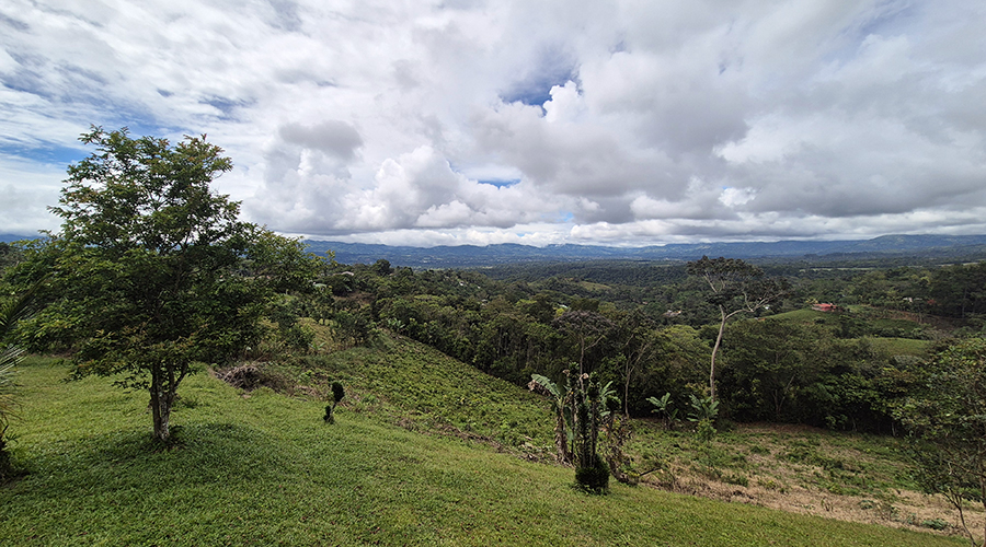 Costa Rica - Perez Zeledon - San Francisco - Casa Panorama - Terrain - vue 1