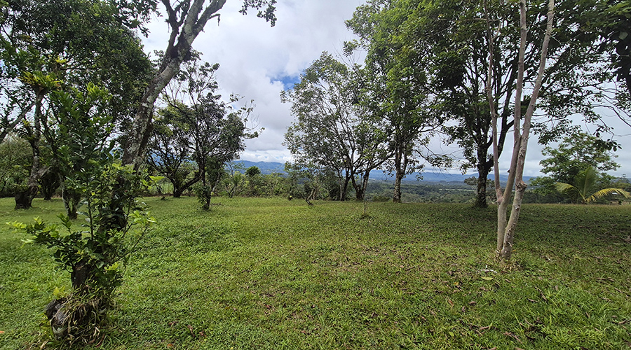 Costa Rica - Perez Zeledon - San Francisco - Casa Panorama - Terrain - vue 2