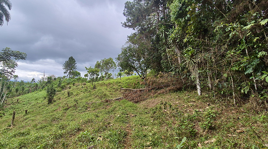 Costa Rica - Perez Zeledon - San Pedro - Finquita Santiago - Terrain - vue 1
