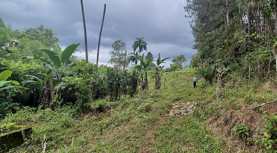 Costa Rica - Perez Zeledon - San Pedro - Finquita Santiago - Terrain - vue 3