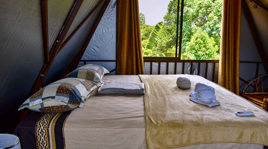 Costa Rica - Province de San Jos - Finca Platanillo 1 + 4 - Cabina 2 - Chambre