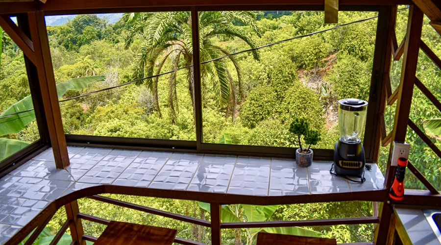 Costa Rica - Province de San Jos - Finca Platanillo 1 + 4 - Cabina 2 - Terrasse
