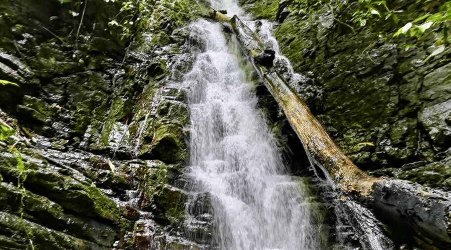 Costa Rica - Province de San Jos - Finca Platanillo 1 + 4 - La cascade de 15 mtres !!
