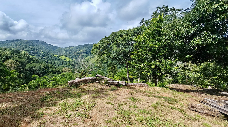 Costa Rica - Province de San Jos - Finca Platanillo 1 + 4 - Terrassement - vue 1