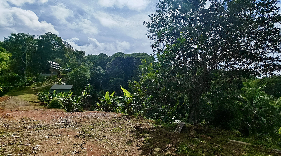 Costa Rica - Province de San Jos - Finca Platanillo 1 + 4 - Terrassement - vue 2