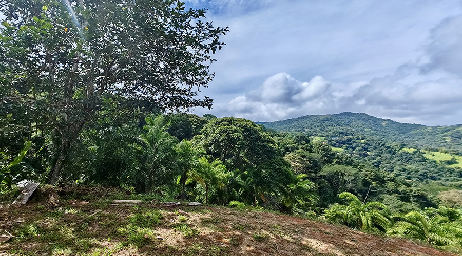 Costa Rica - Province de San Jos - Finca Platanillo 1 + 4 - Terrassement - vue 3