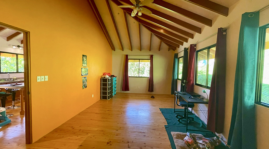 Costa Rica - San Isidro - San Ignacio - Ferme en Permaculture - Chambre 2