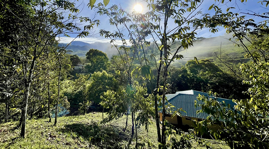 Costa Rica - San Isidro - San Ignacio - Ferme en Permaculture - Maison - vue 5
