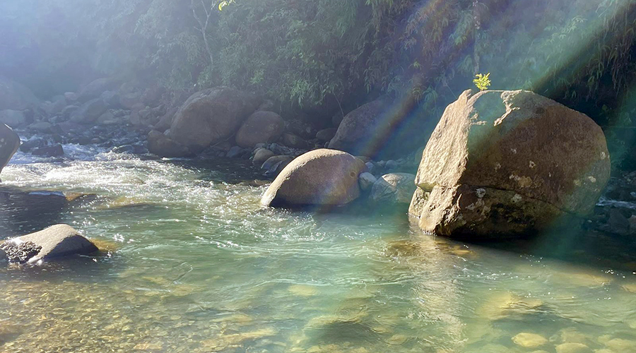 Costa Rica - San Isidro - San Ignacio - Ferme en Permaculture - Rivire - vue 1