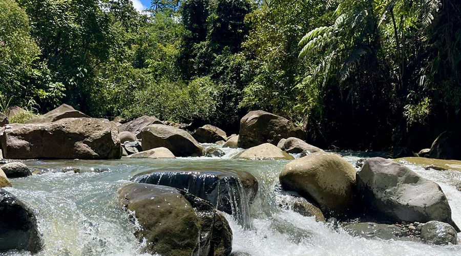 Costa Rica - San Isidro - San Ignacio - Ferme en Permaculture - Rivire - vue 3