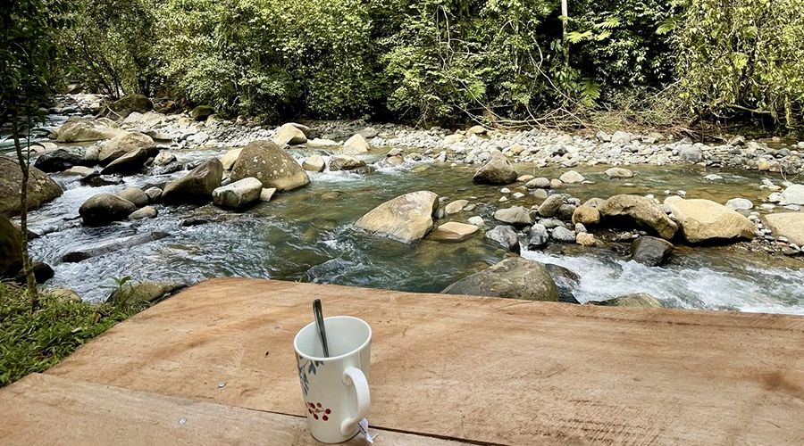 Costa Rica - San Isidro - San Ignacio - Ferme en Permaculture - Rivire - vue 4