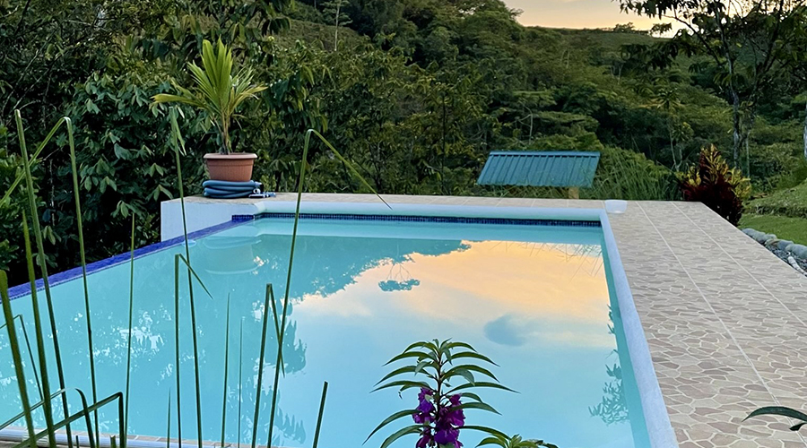 Costa Rica - San Isidro - San Ignacio - Ferme en Permaculture - Piscine - vue 3