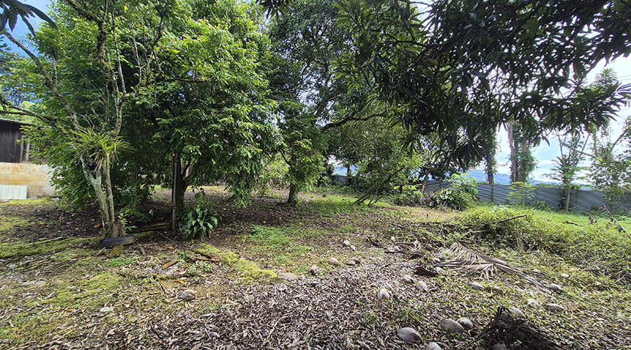 Costa Rica - San Isidro de El General - Casa Los Chiles - Jardin - vue 1
