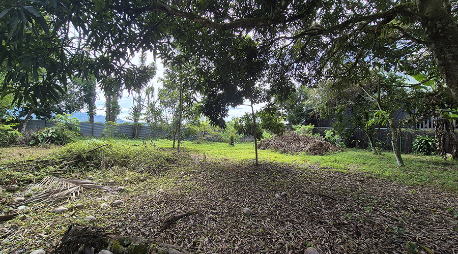 Costa Rica - San Isidro de El General - Casa Los Chiles - Jardin - vue 2