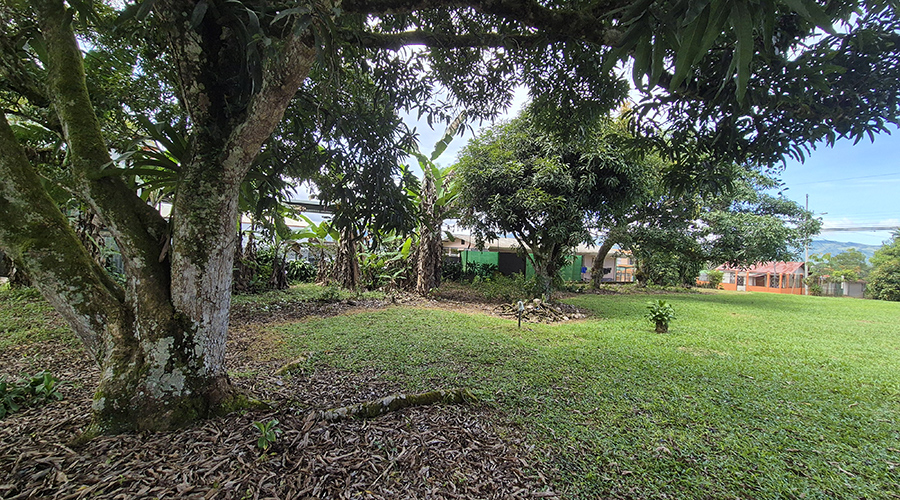 Costa Rica - San Isidro de El General - Casa Los Chiles - Jardin - vue 3