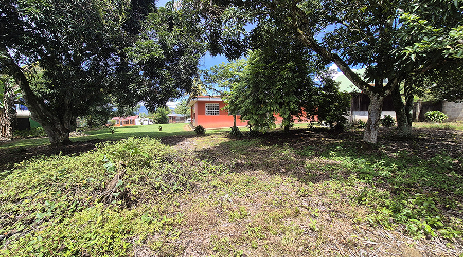 Costa Rica - San Isidro de El General - Casa Los Chiles - Jardin - vue 6
