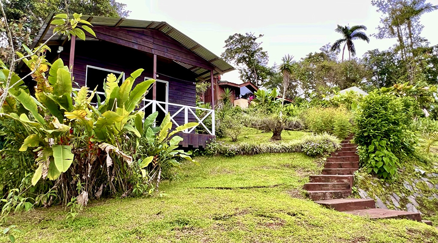 Costa Rica - Perez Zeledon - San Isidro - Airbnb Tinamastes (1+3) - Cabina 1 - Extrieur 4