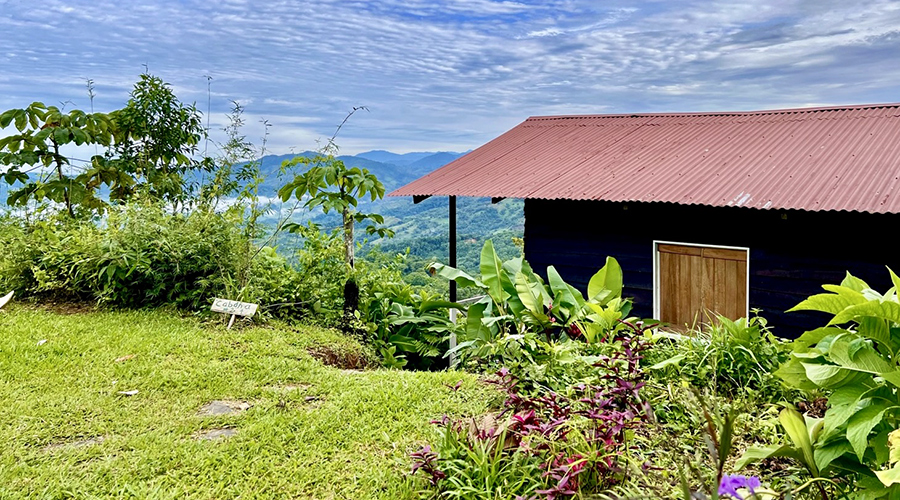 Costa Rica - Perez Zeledon - San Isidro - Airbnb Tinamastes (1+3) - Extrieurs - Vue 7
